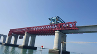 来利国际w66